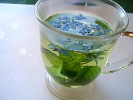 اثر چای سیاه ایرانی و گل گاوزبان بر سلول‌های سیستم ایمنی بدن