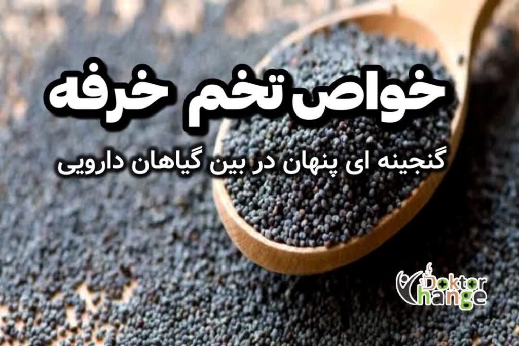  خواص تخم خرفه