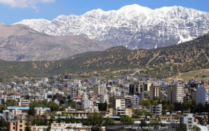 نمایندگی دمنوش نیوشا دریاسوج