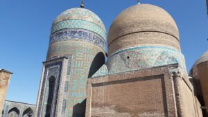 نمایندگی دمنوش نیوشا دراردبیل