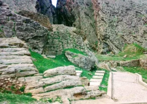 نمایندگی نیوشا درایلام