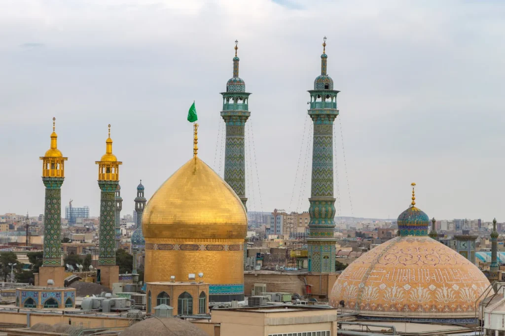 نمایندگی دمنوش نیوشا درقم