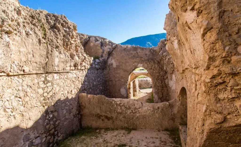 نمایندگی نیوشا درایلام