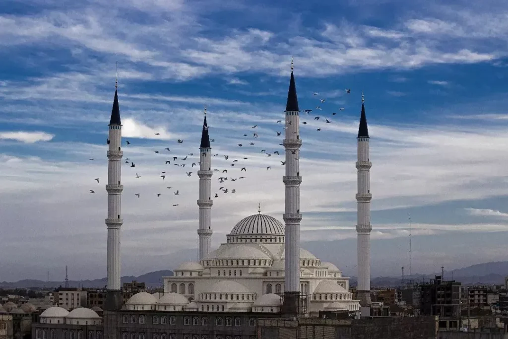 نمایندگی دمنوش نیوشا درزاهدان